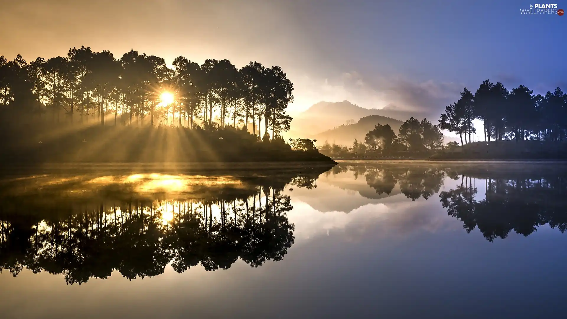 viewes, illuminated, reflection, trees, lake, light breaking through sky, Mountains