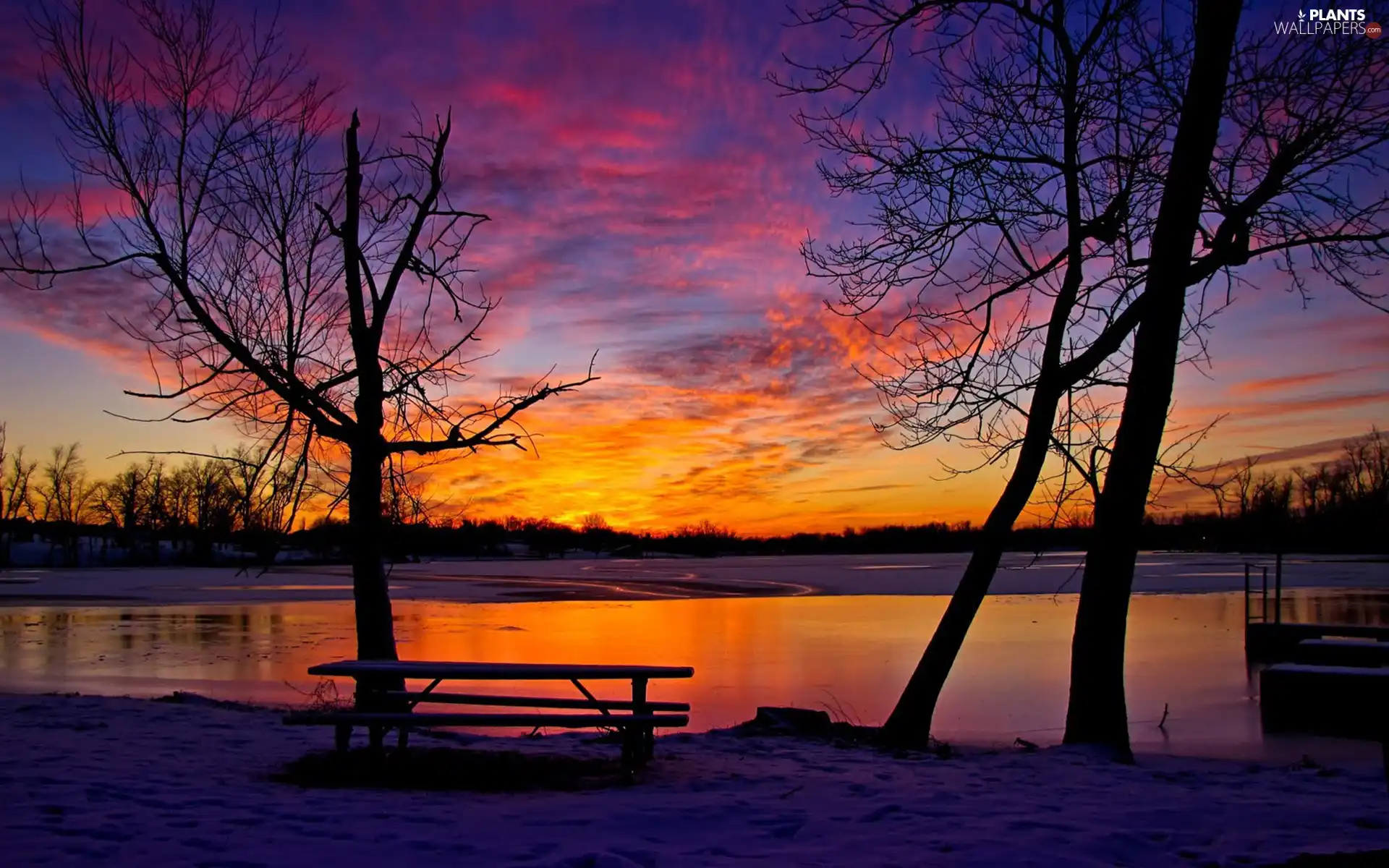 Bench, trees, sun, viewes, River, west, winter