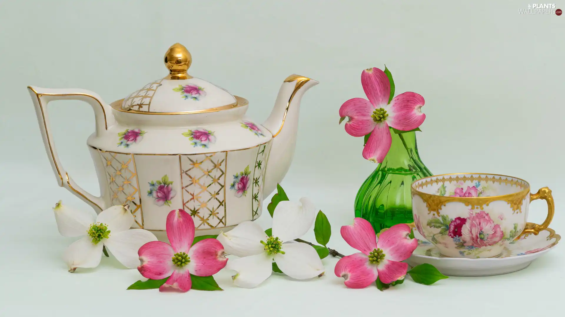 cup, porcelain, dog-wood, composition, Flowers, jug
