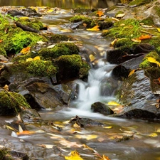rocks, stream, Leaf, autumn, mosses, forest