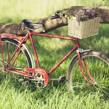 Bike, basket, Lilacs, Meadow
