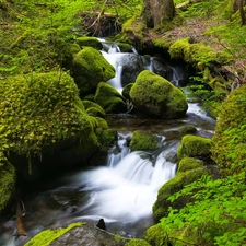 forest, River, Moss, waterfall, Stones, stream