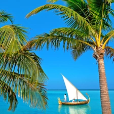 Palms, Boat, sea