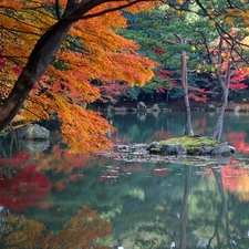 viewes, reflection, lake, trees, autumn