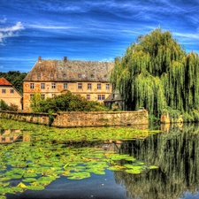 water, House, water, lilies, Willow