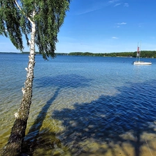 Waves, birch-tree, Kayaks, boats, Yachts, lake