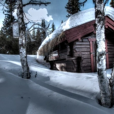 forest, drifts, winter, cottage