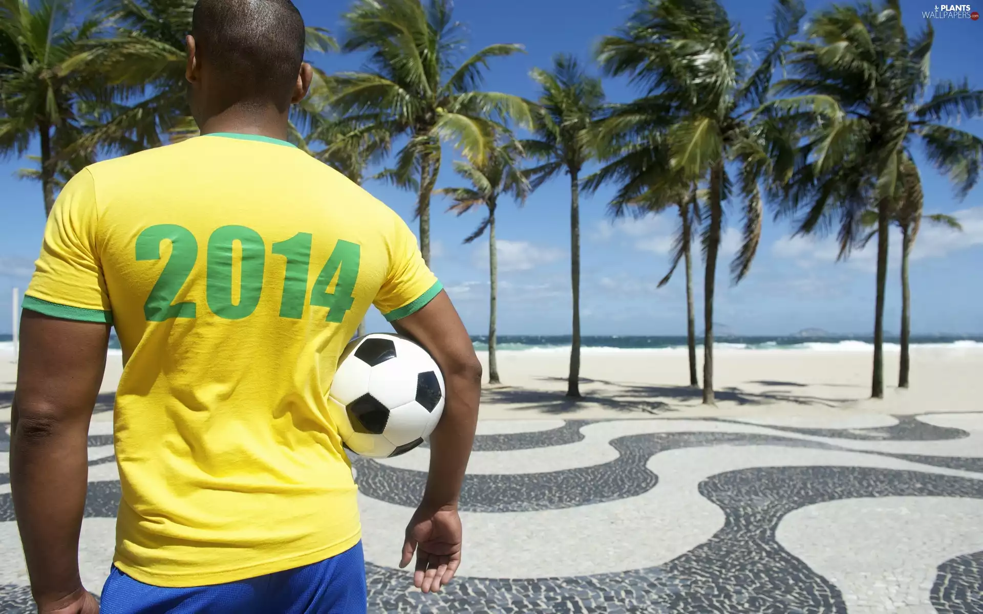Brazil, Ball, world, Palms, a man, Championship, 2014