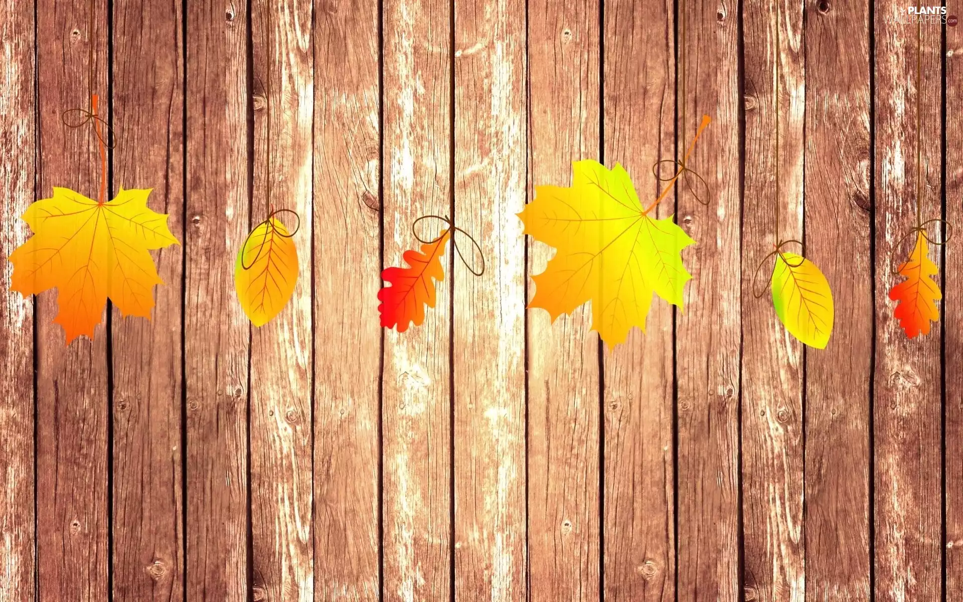 Leaf, autumn, Fance, 2D Graphics, boarding, color