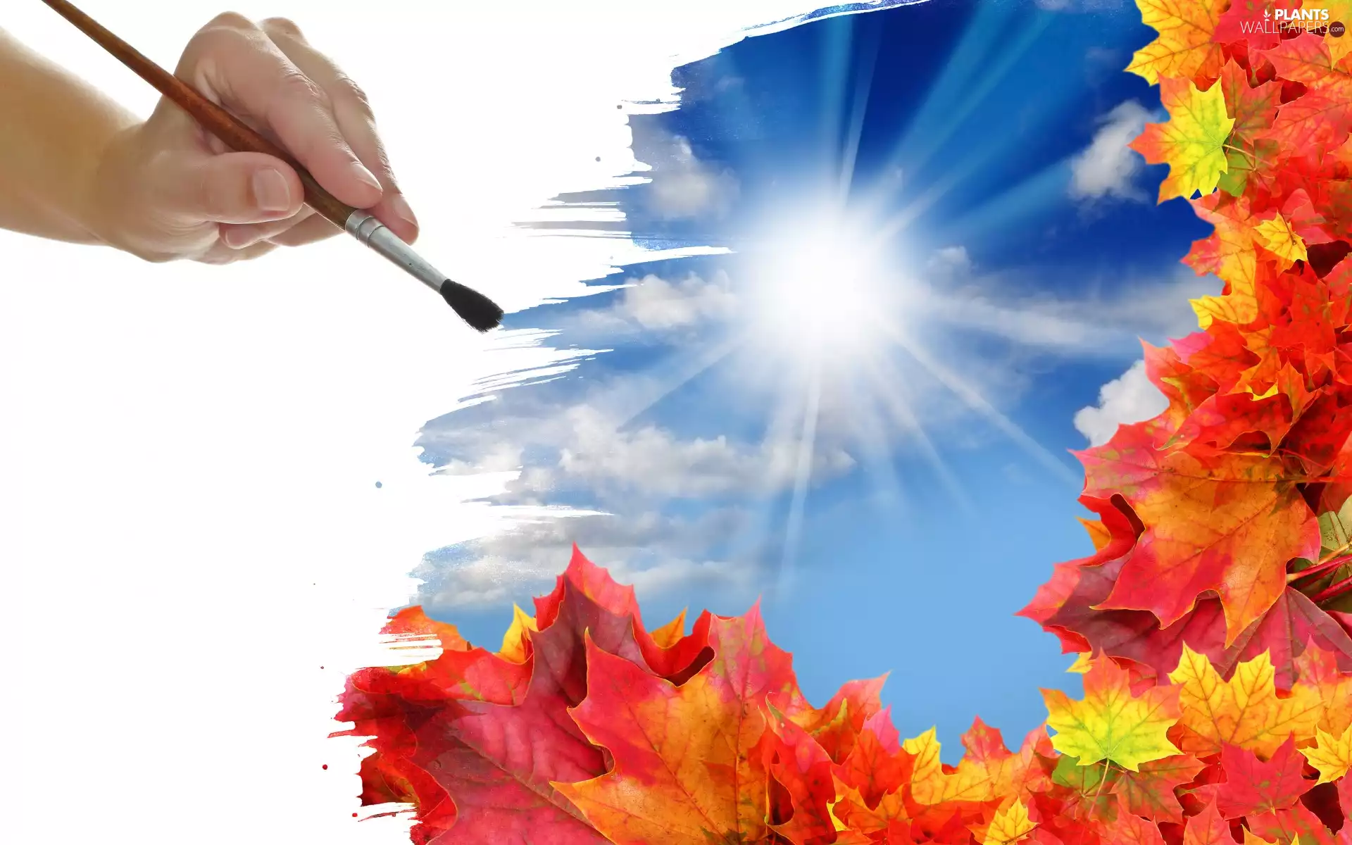Leaf, rays of the Sun, hand, brush, 2D