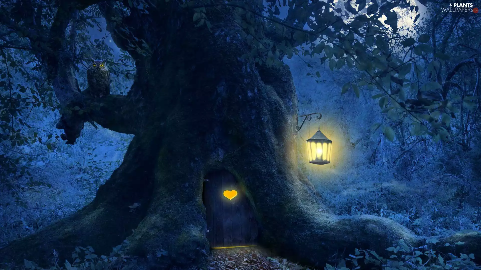 Doors, Night, lantern, 2D, owl, trees