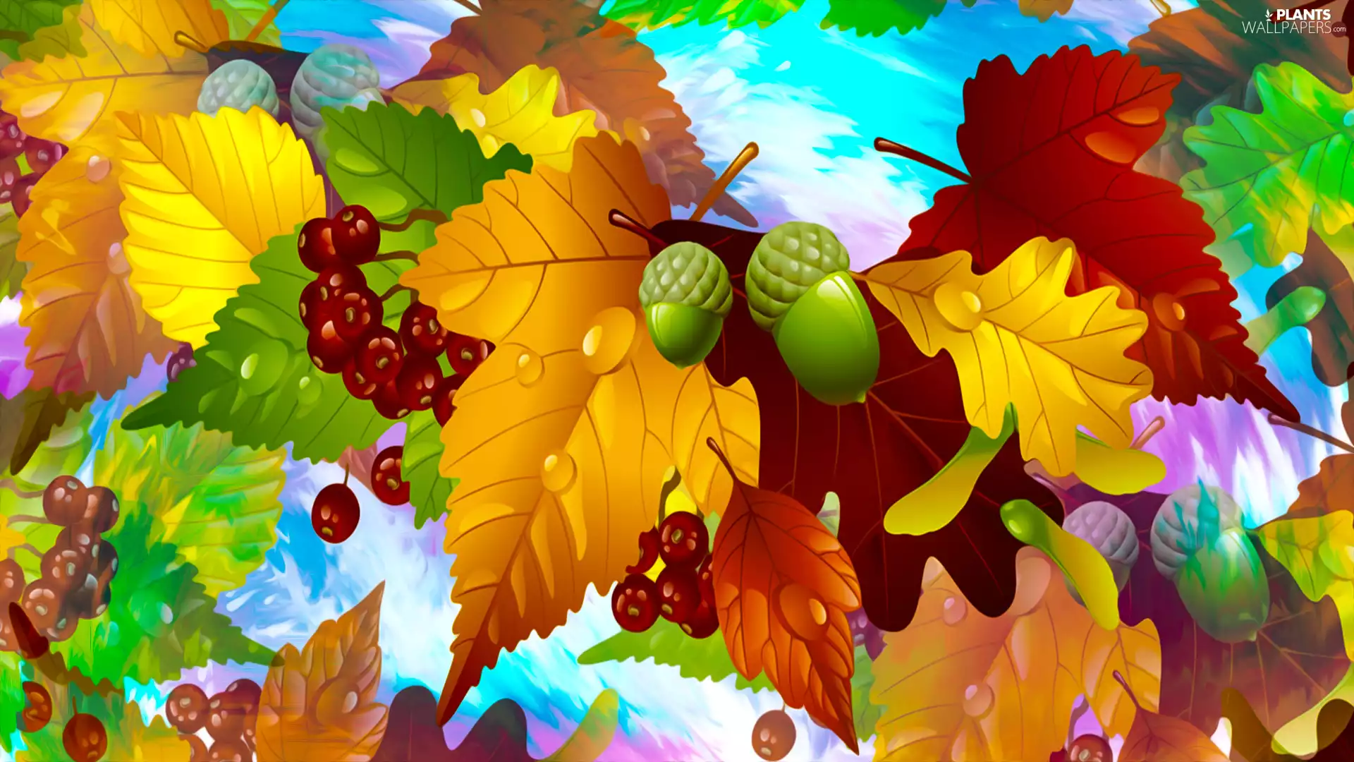 Acorns, graphics, Leaf