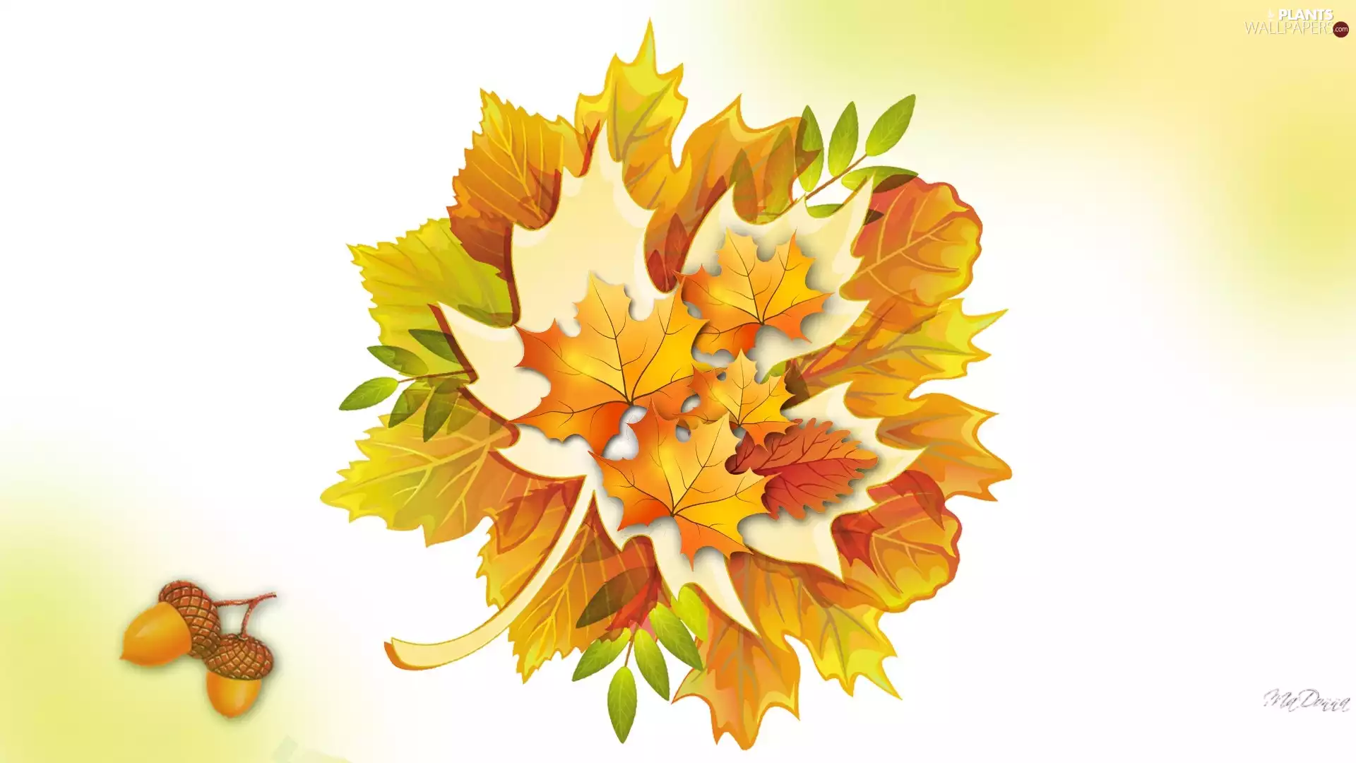 Acorns, Yellow, Leaf