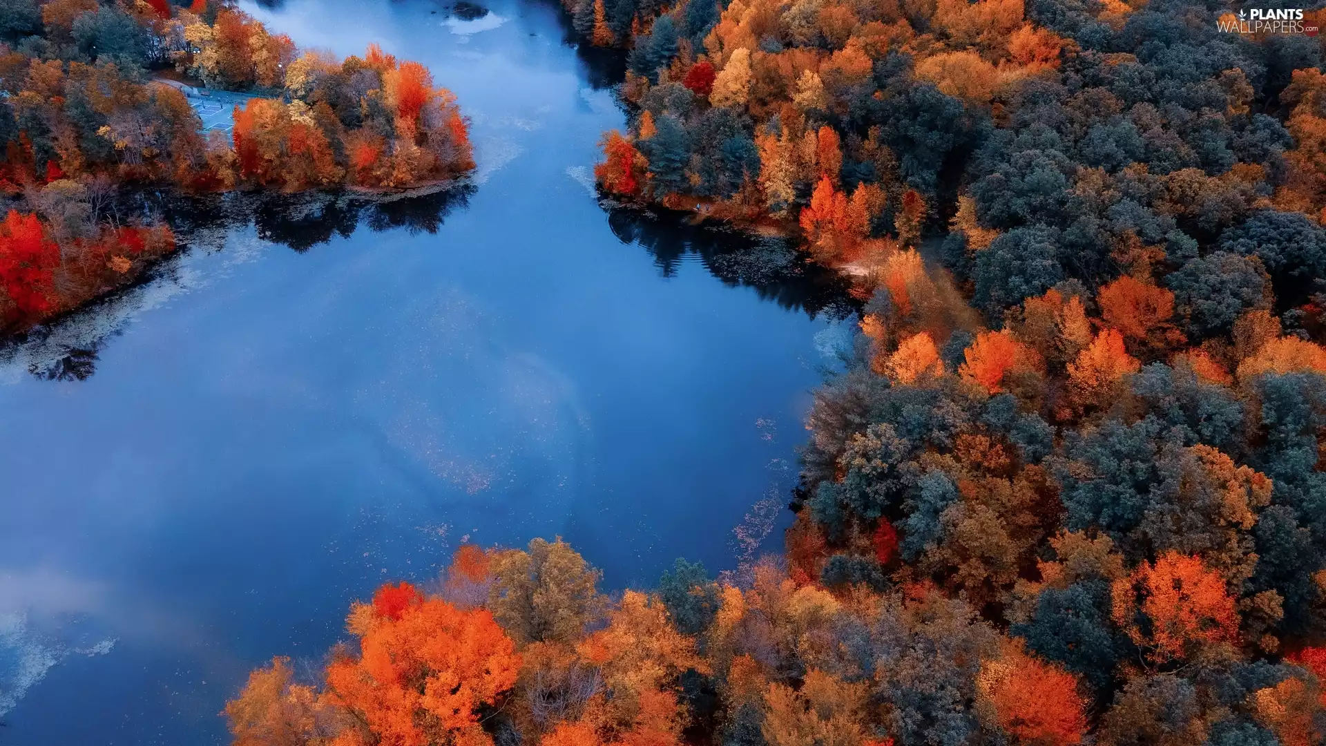 trees, River, autumn, Aerial View, viewes, forest