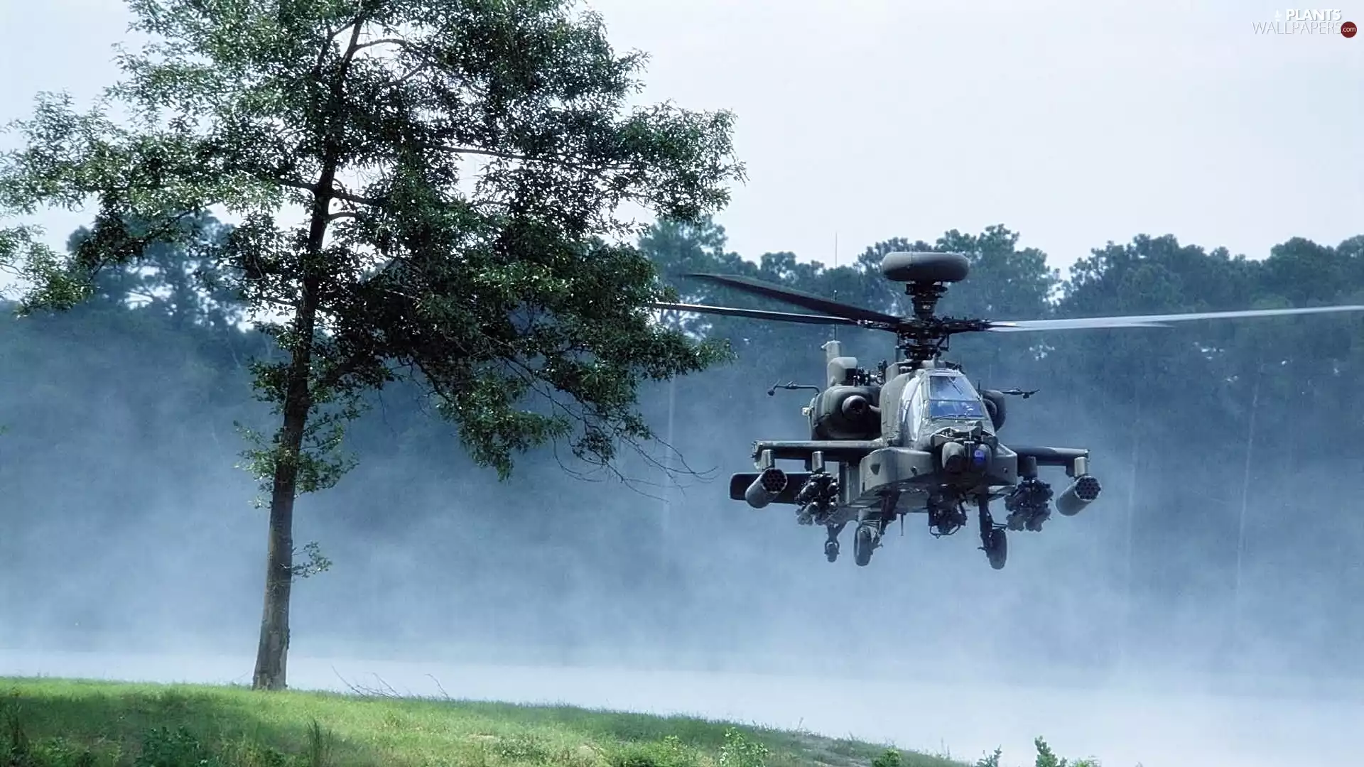 Apache, trees, Boeing, Ah-64, Helicopter