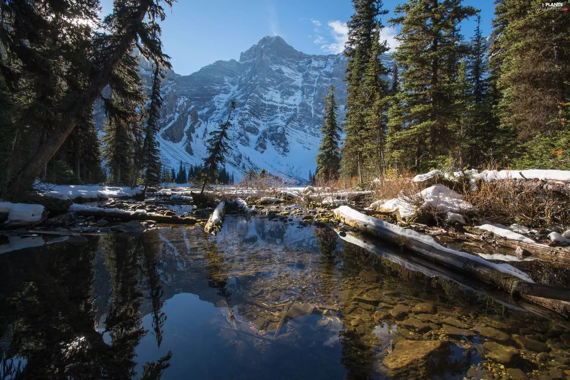 Kananaskis Country, Mountains Canadian Rockies, viewes, Mount Sarrail, trees, Alberta, Canada, flux