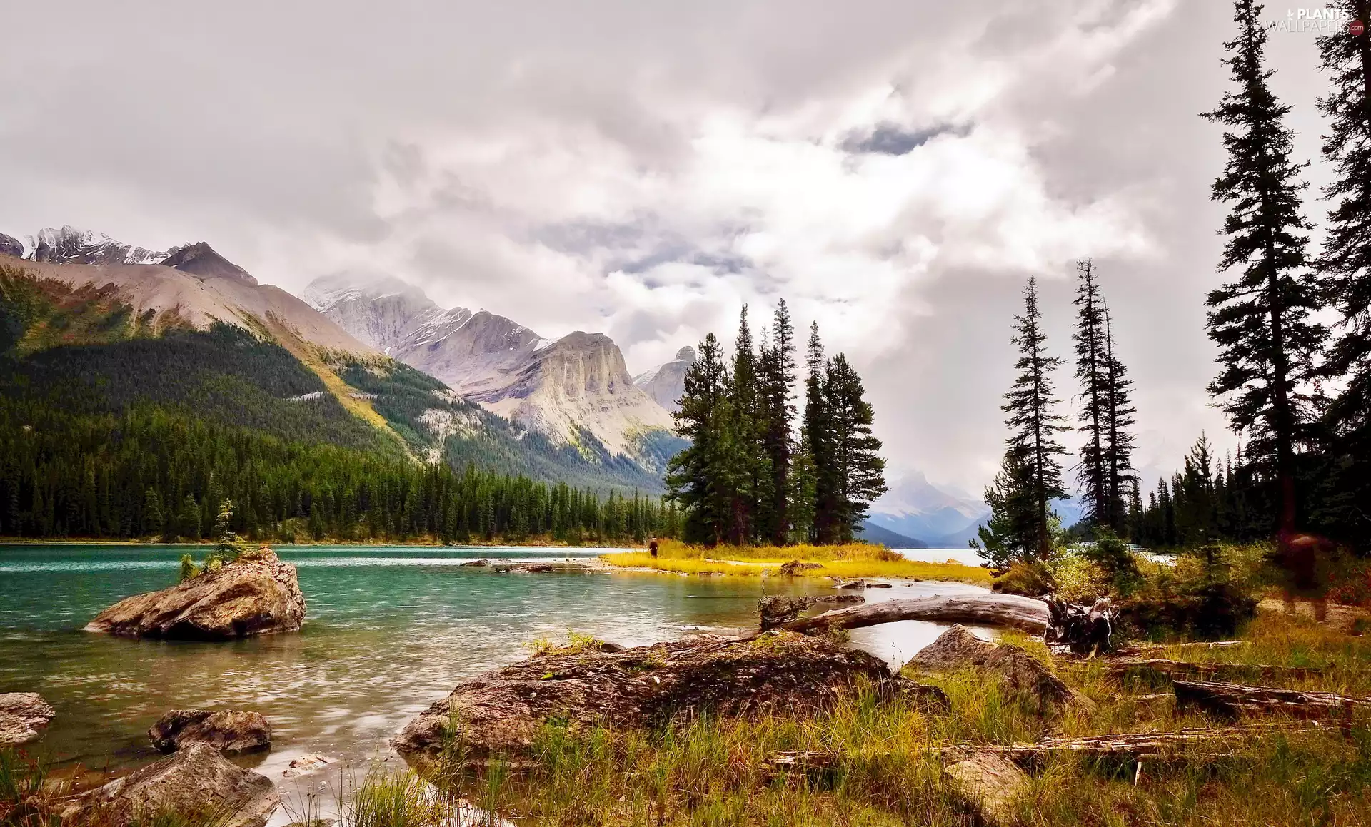 Mountains, Maligne Lake, viewes, trees, grass, Canada, Alberta, Jasper National Park, Spirit Island, clouds, Stones