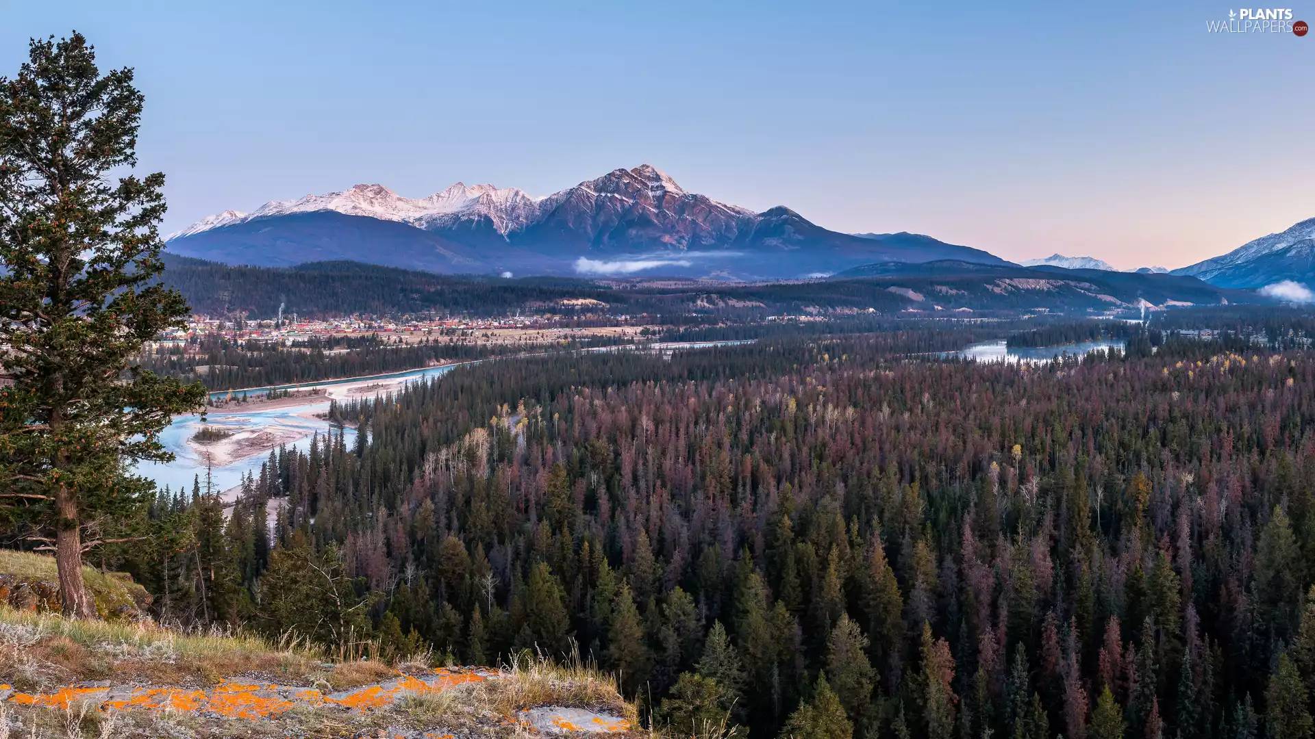 viewes, River, Canada, Jasper National Park, Alberta, trees, rocky mountains, Houses