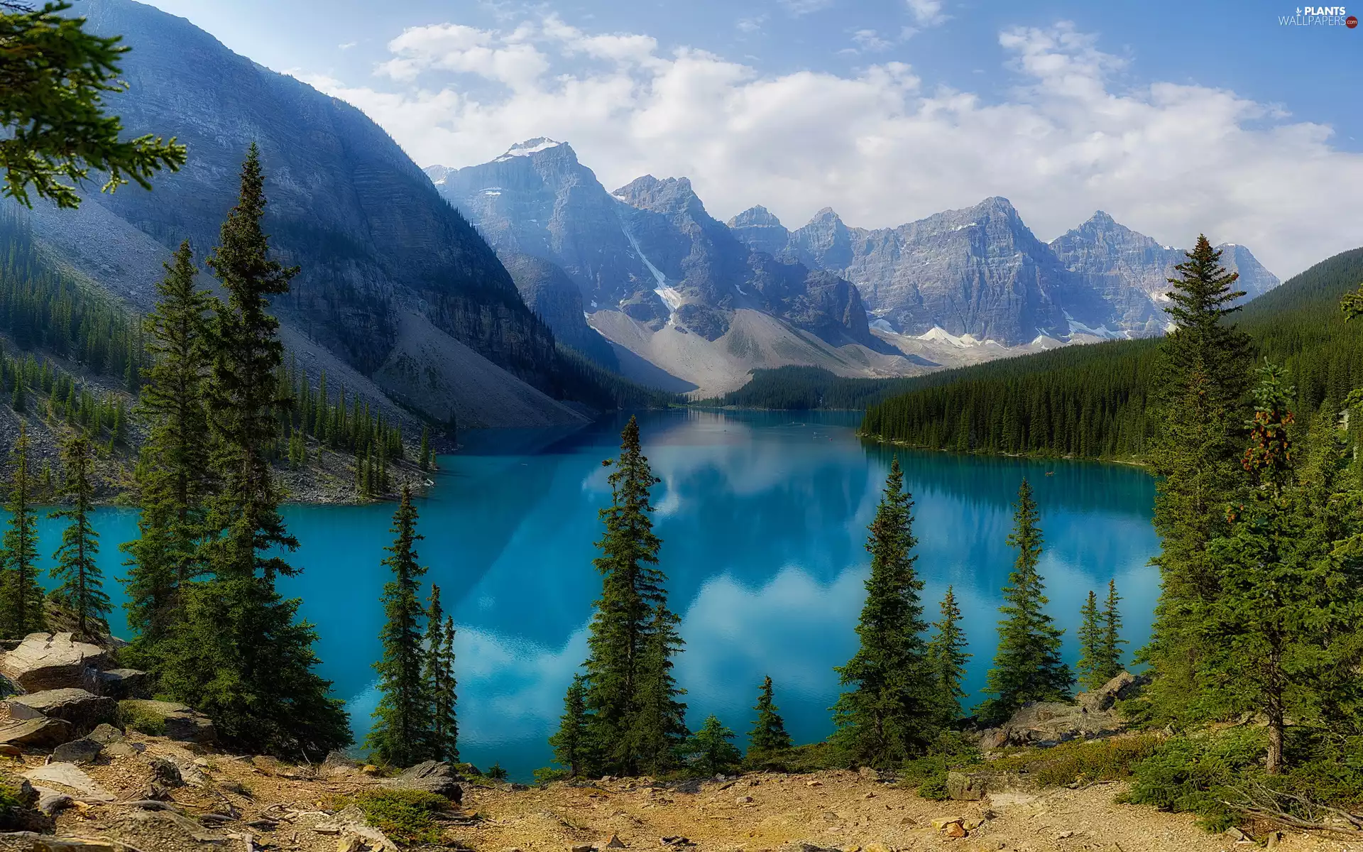 forest, Banff National Park, viewes, trees, clouds, Canada, Alberta, Moraine Lake, lake, morning, Mountains