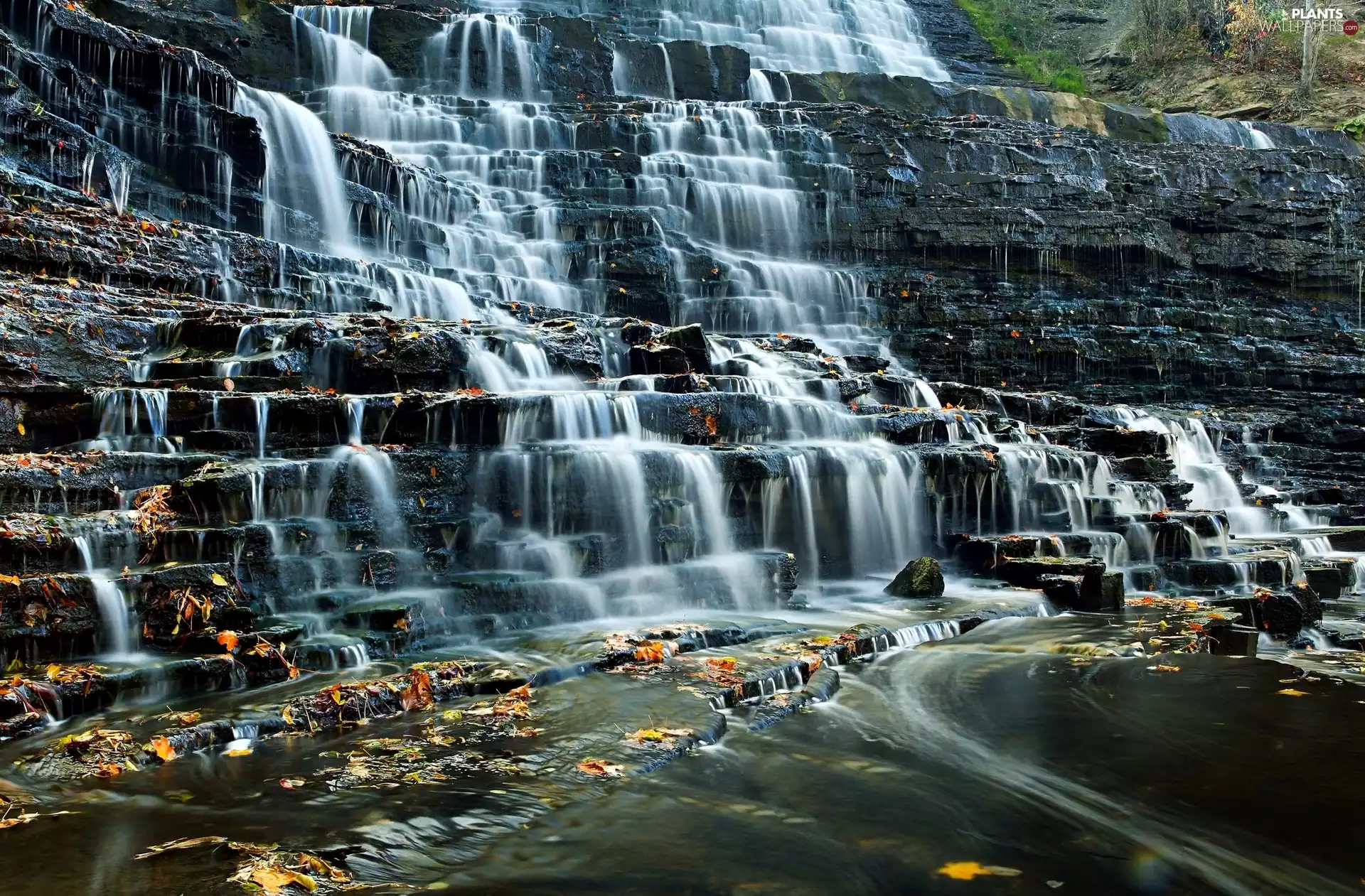 Albion Falls, Ontario Province, Yellow, Hamilton, Canada, rocks, Leaf