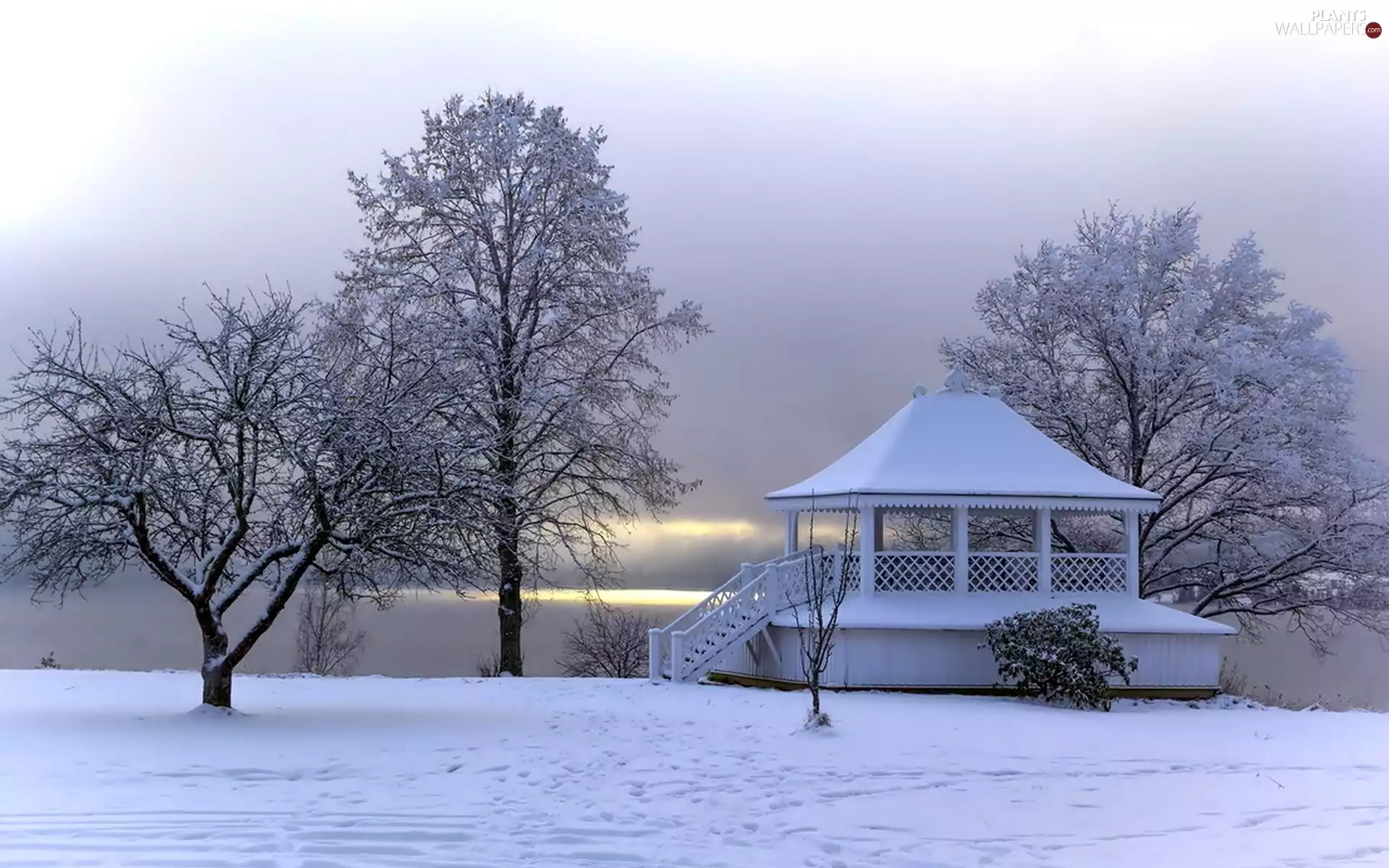 winter, trees, viewes, alcove