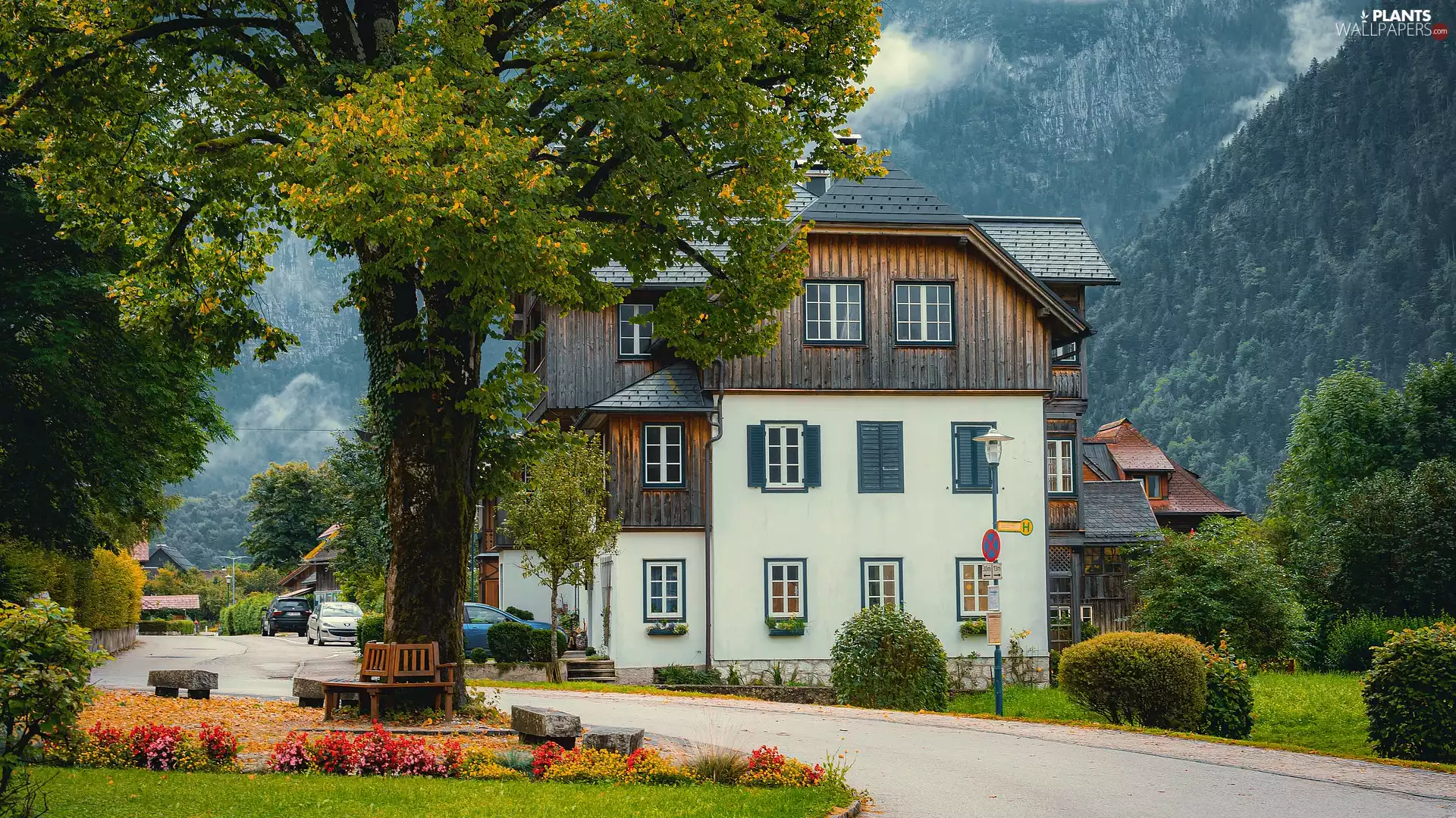 viewes, alley, Mountains, trees, house