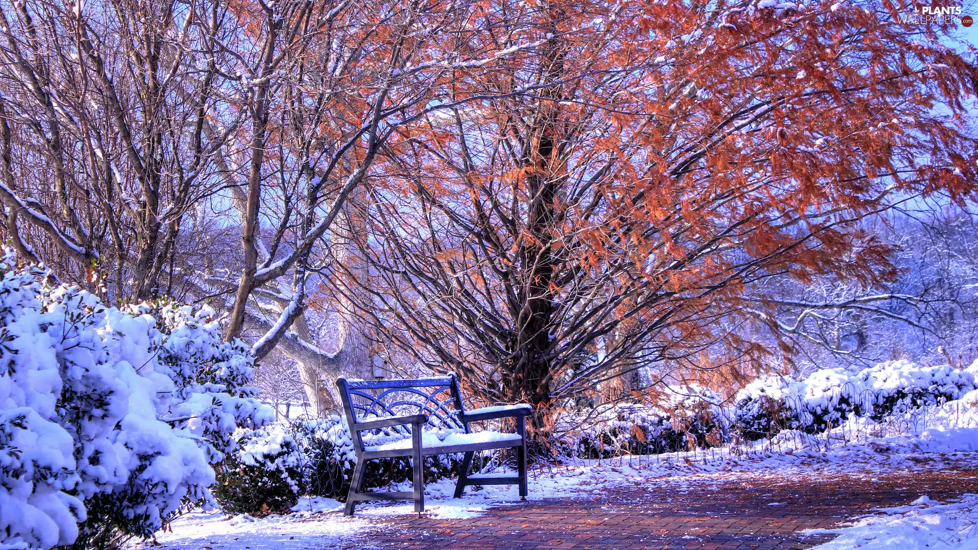 Autumn, Leaf, Park, snow, Bench, viewes, trees, alley