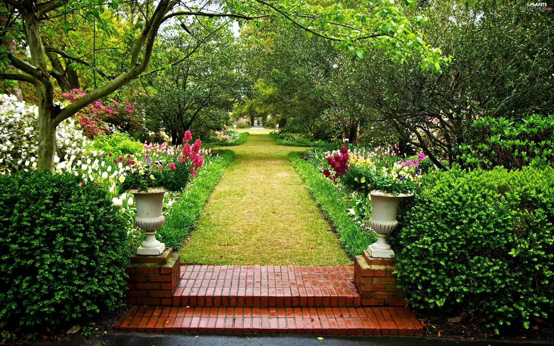 Park, Flowers, Bush, Alleys