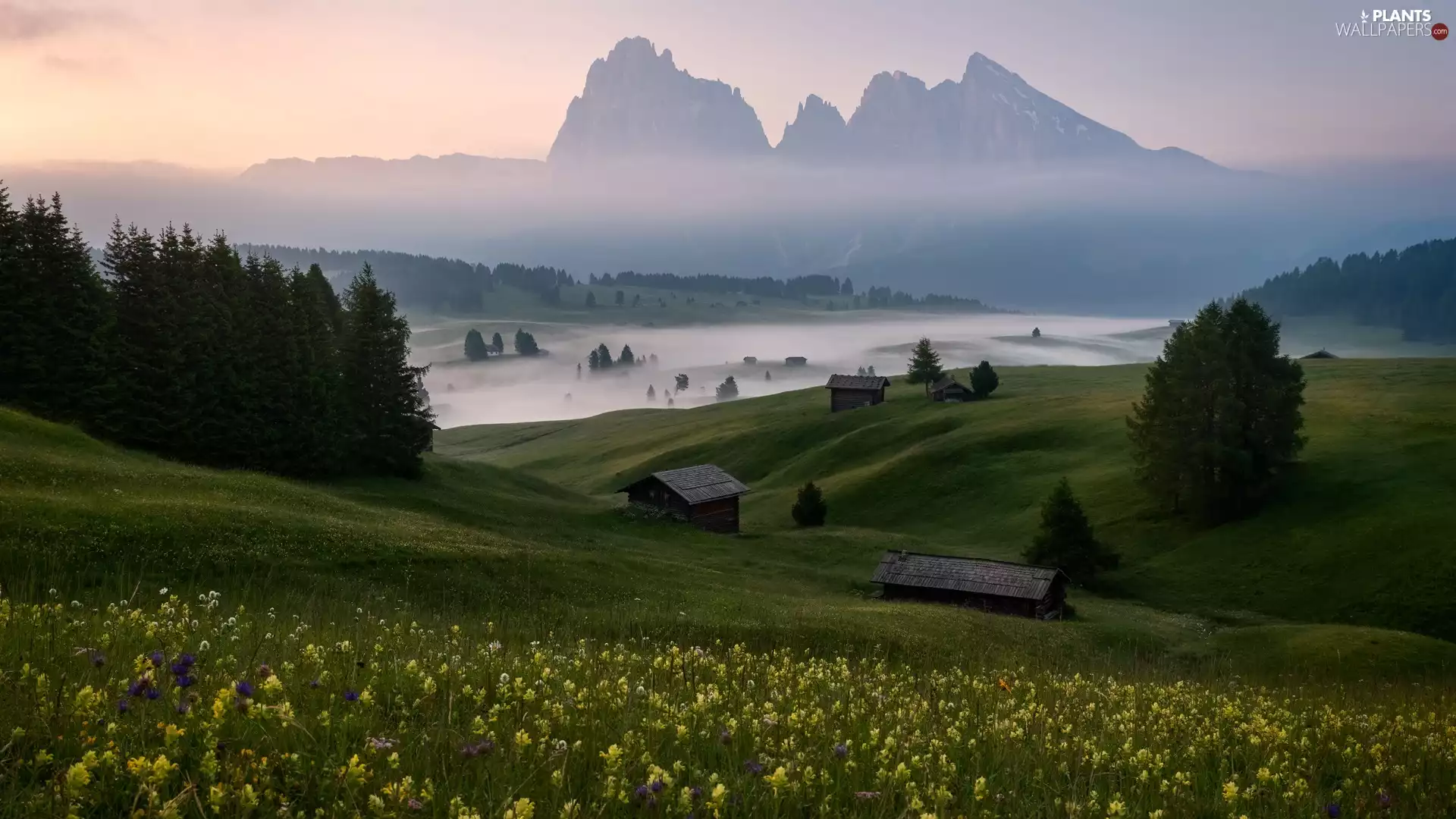 Sassolungo Mountains, Fog, Dolomites, wood, medows, Italy, Seiser Alm Meadow, Val Gardena Valley, Houses