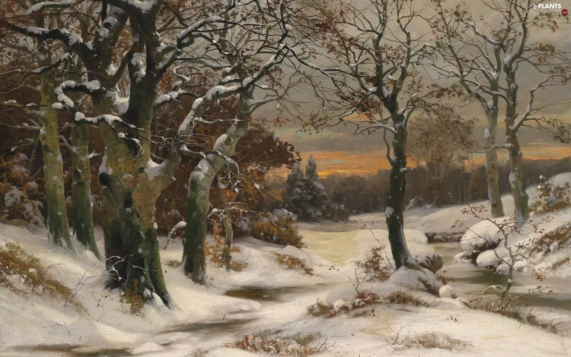 painting, picture, winter, forest, Great Sunsets, Alois Arnegger, viewes, River, trees