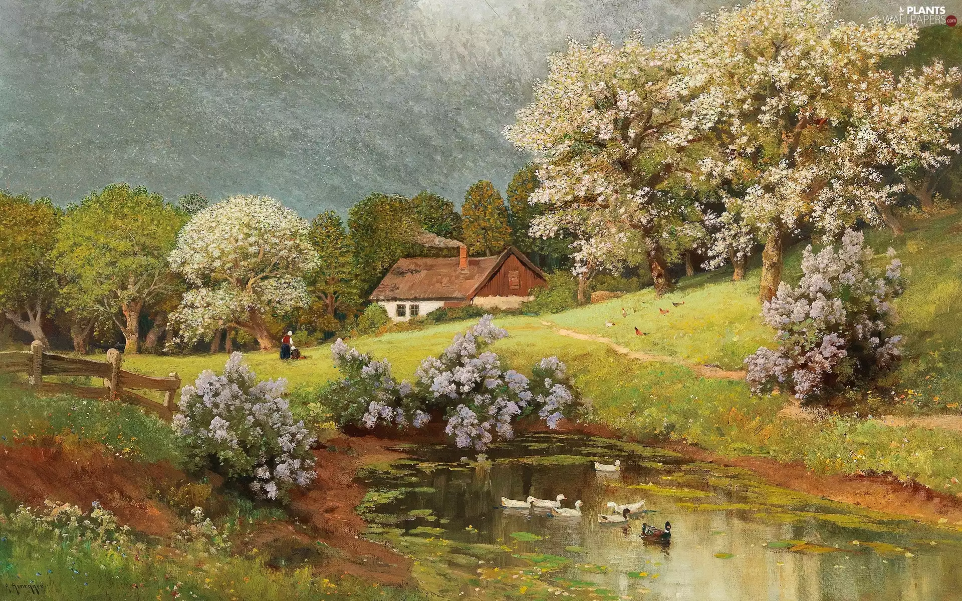 house, Pond - car, Lilacs, painting, hens, viewes, Alois Arnegger, trees, country, picture, ducks, Bush, Spring