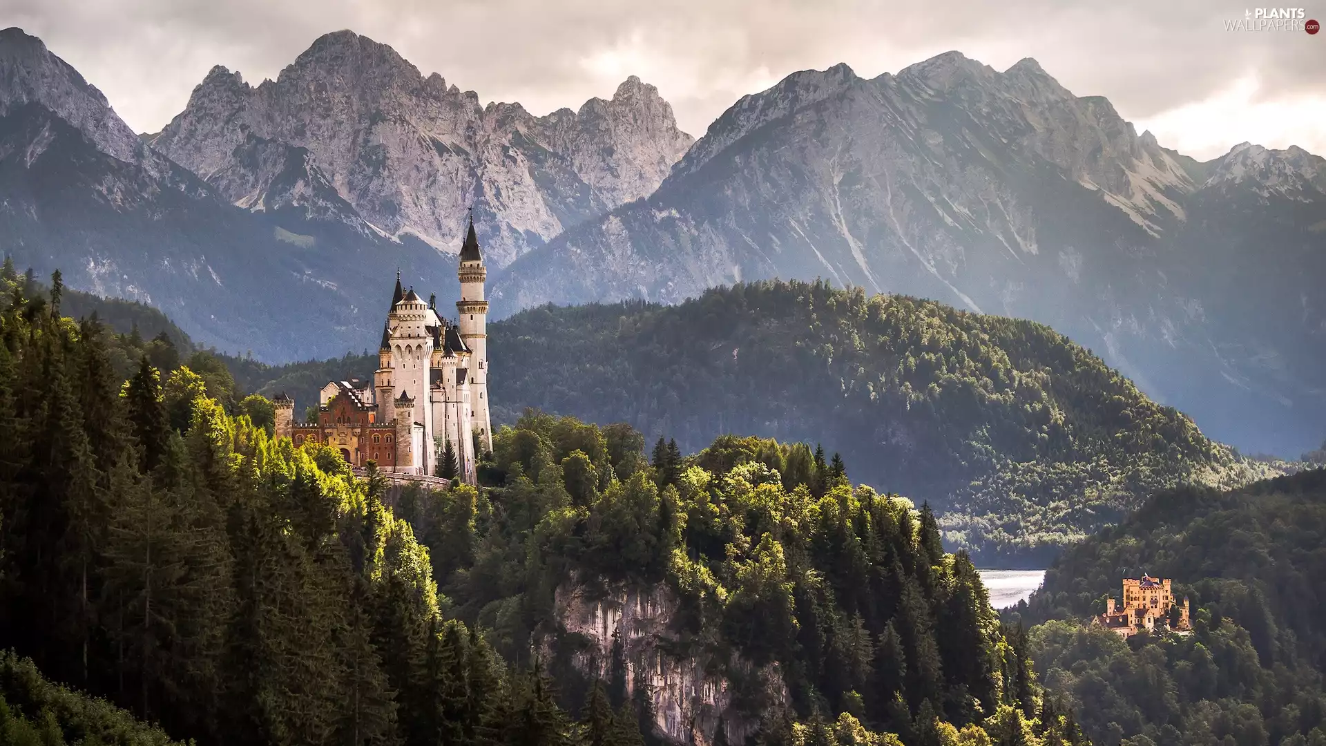 Alps Mountains, Bavaria, trees, Neuschwanstein Castle, Germany, woods, viewes