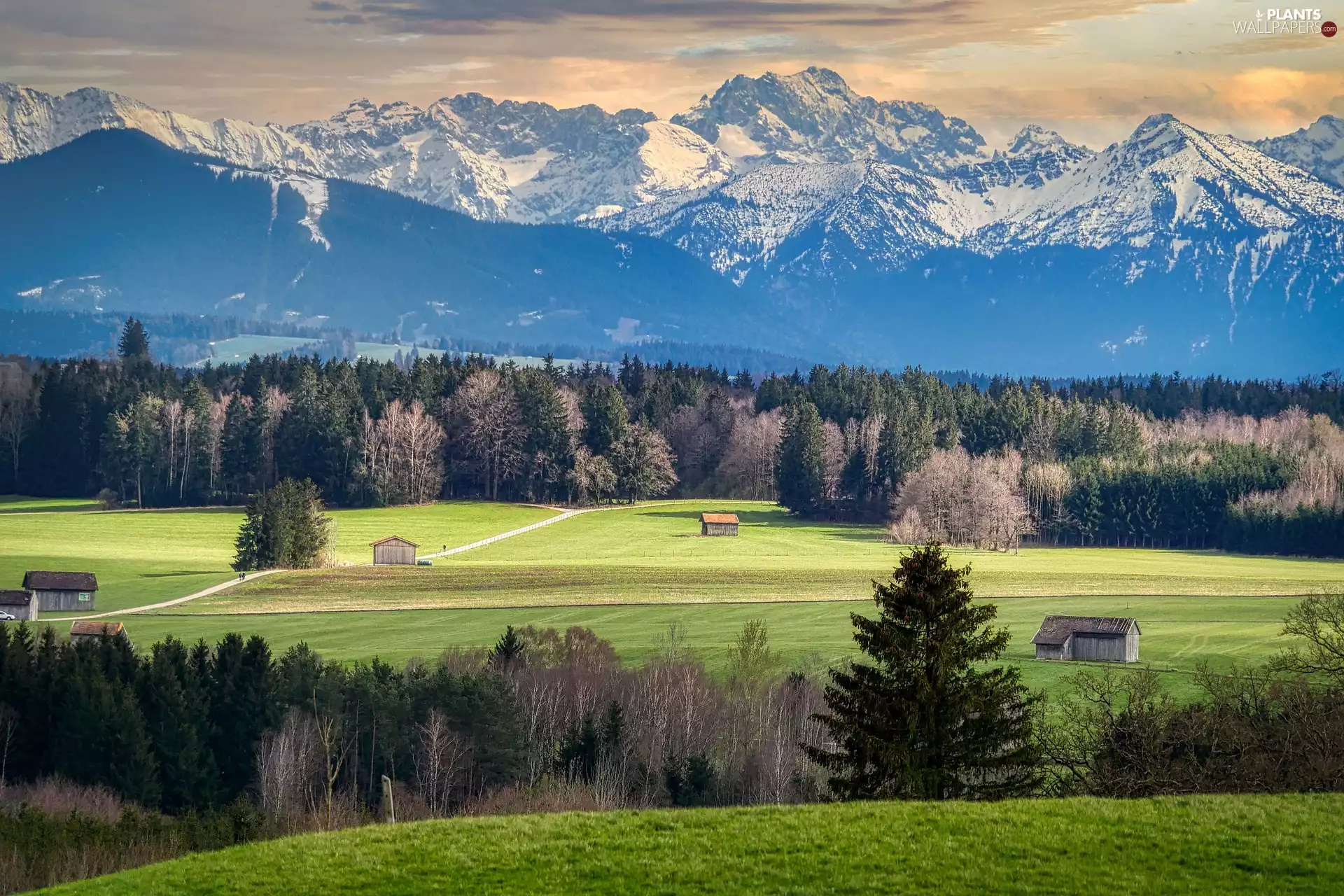 Alps, Mountains, Field, Houses, Bavaria, Germany, trees, viewes, Sheds