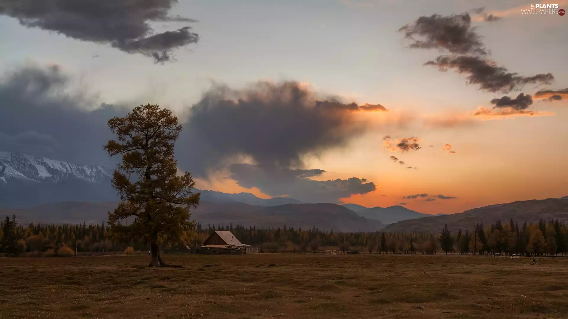 viewes, Field, clouds, Sky, sun, Russia, Altai, trees, house, Mountains, west