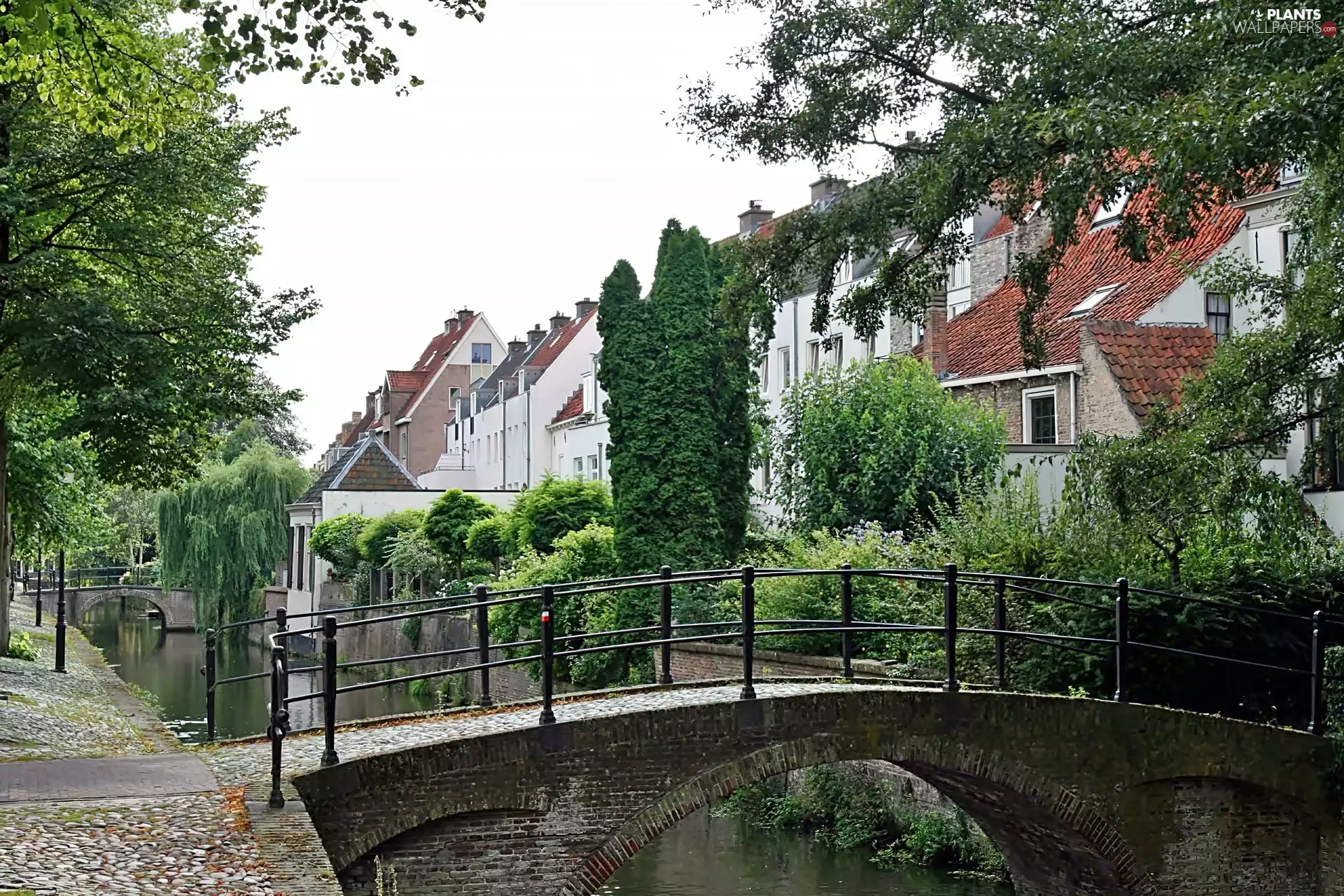 River, Houses, Bridges, Amersfoort, Eem, VEGETATION