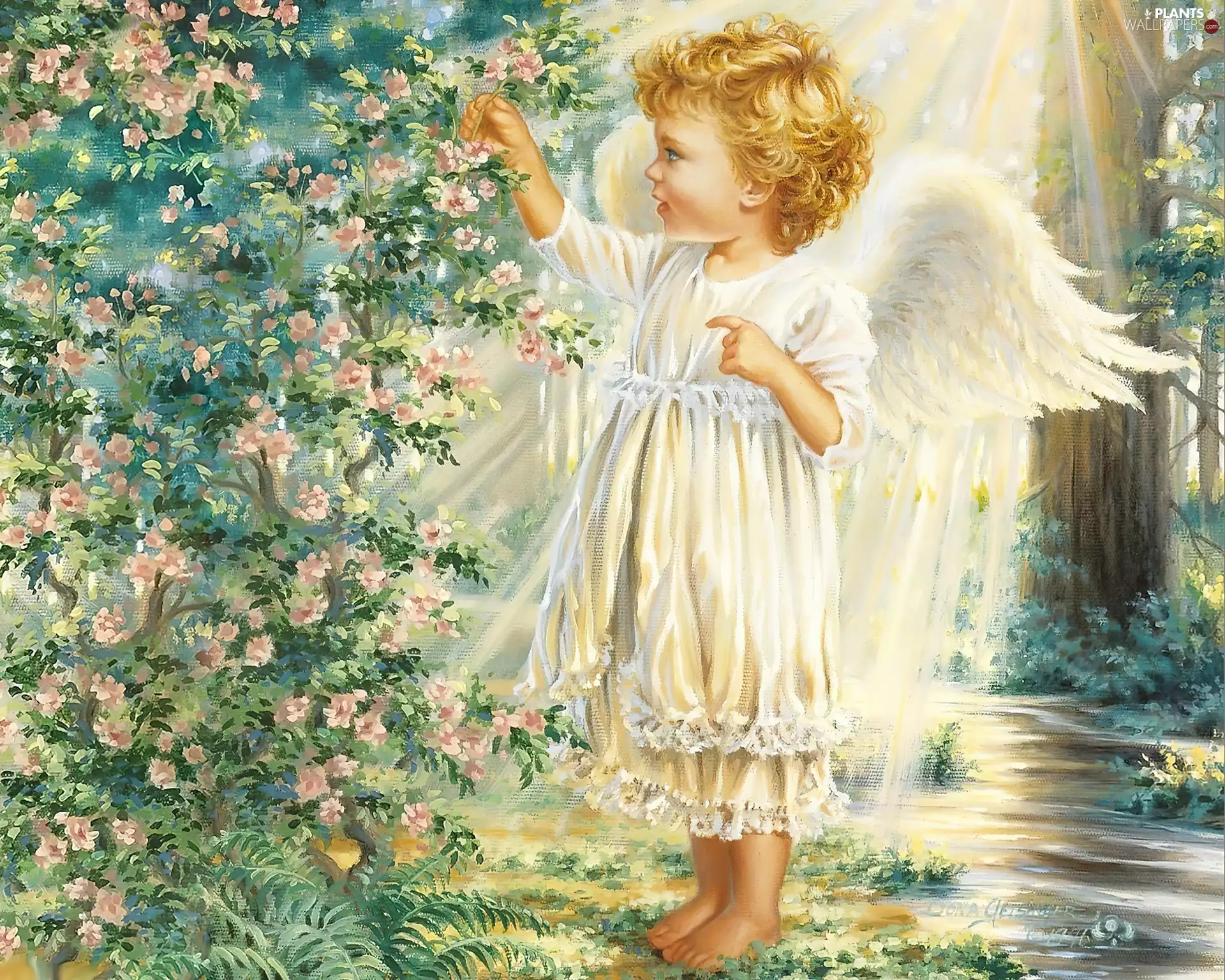 girl, flower, Bush, angel