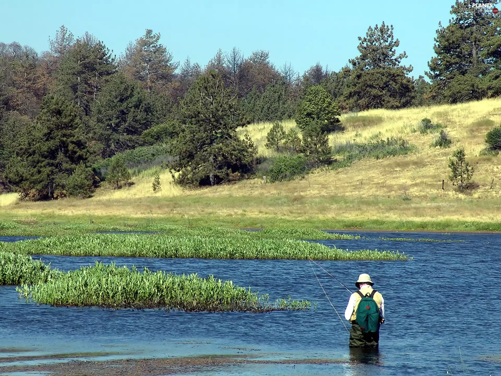 River, trees, viewes, angler