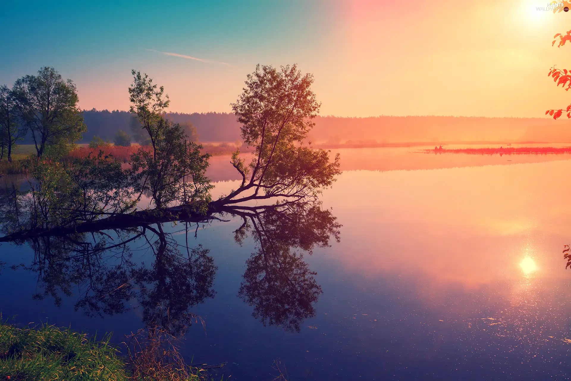 Anglers, trees, Sunrise, lake, Fog