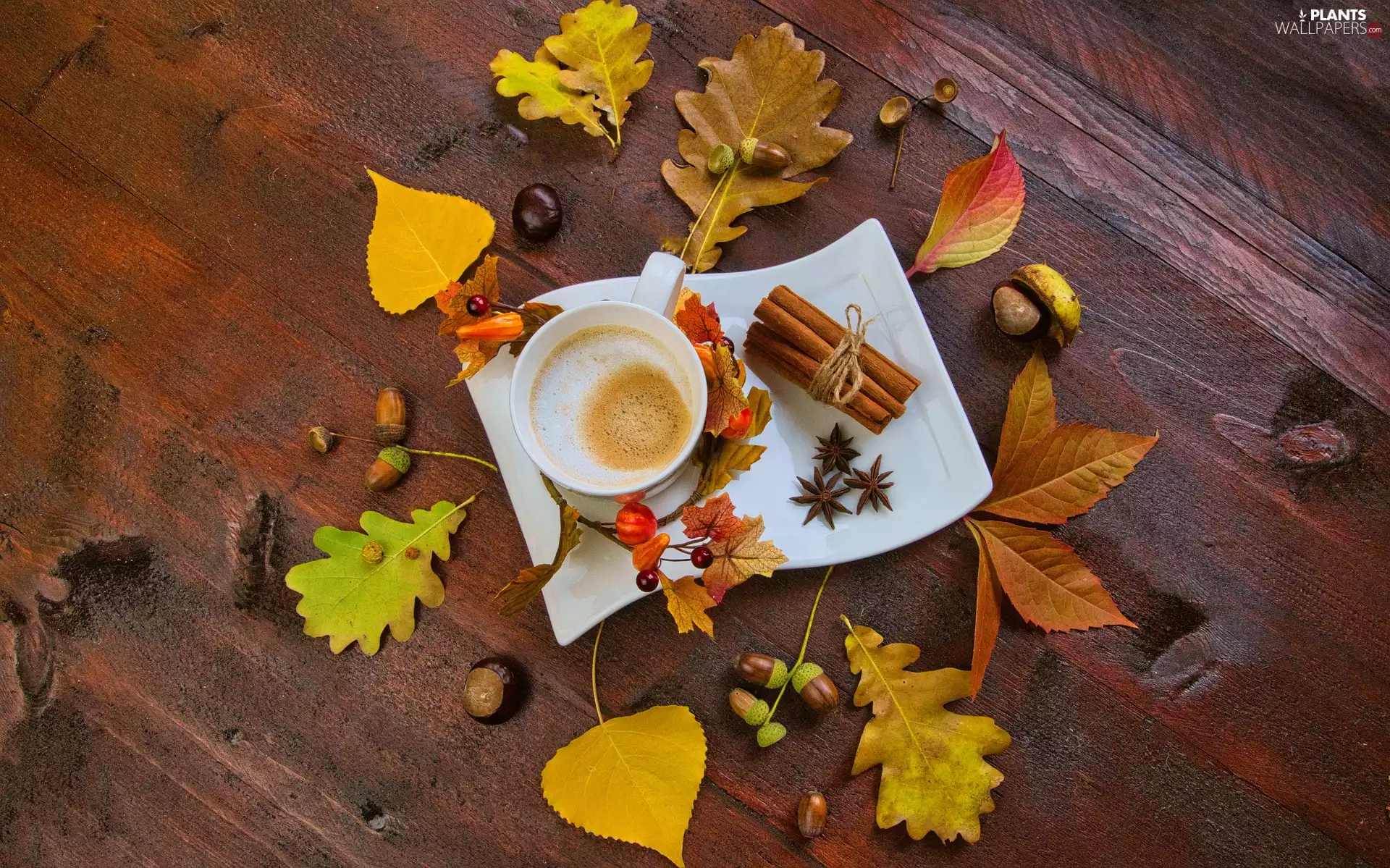 coffee, composition, cinnamon, anise, Leaf, autumn