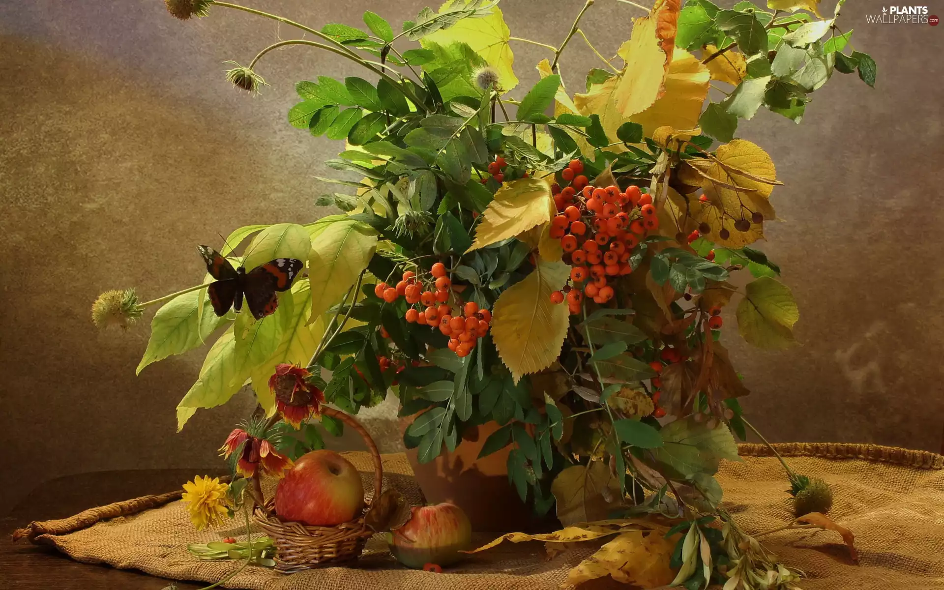 Plant, butterfly, napkin, basket, Table, Leaf, bouquet, Apple