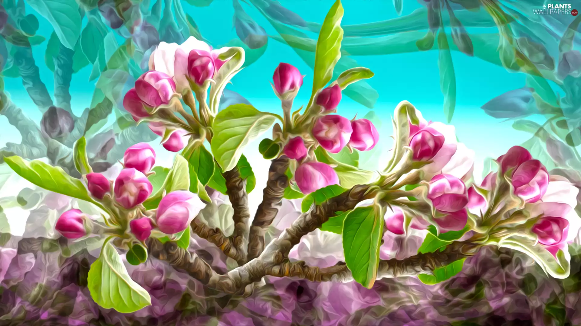 graphics, apple-tree, Flowers, twig