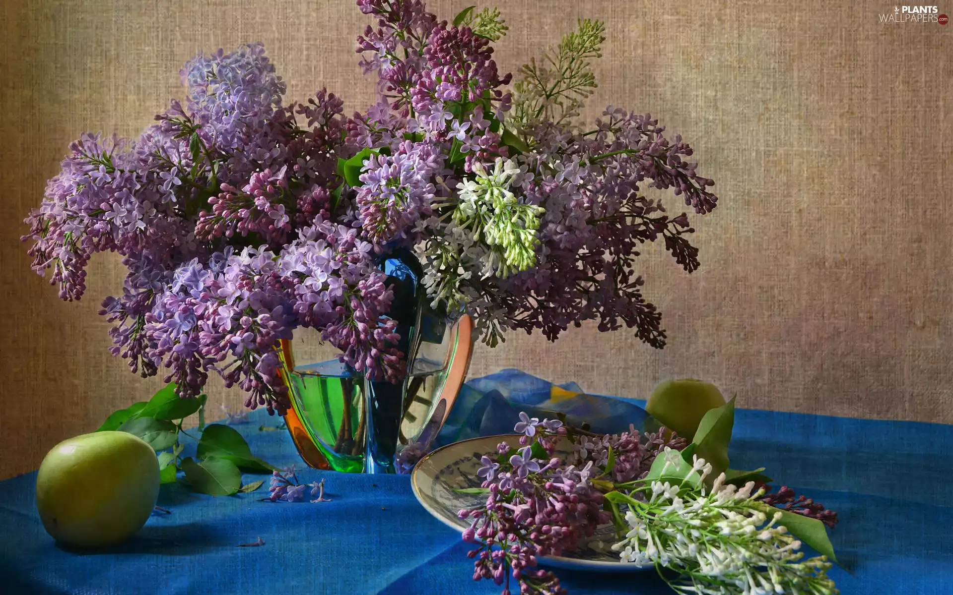 plate, Apple, without, Vase, bouquet