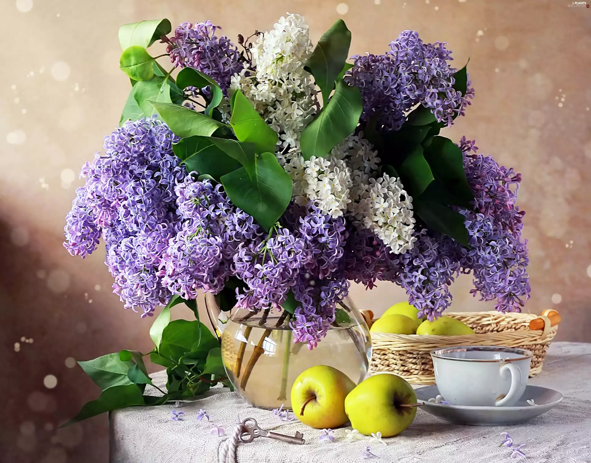 apples, without, bowl