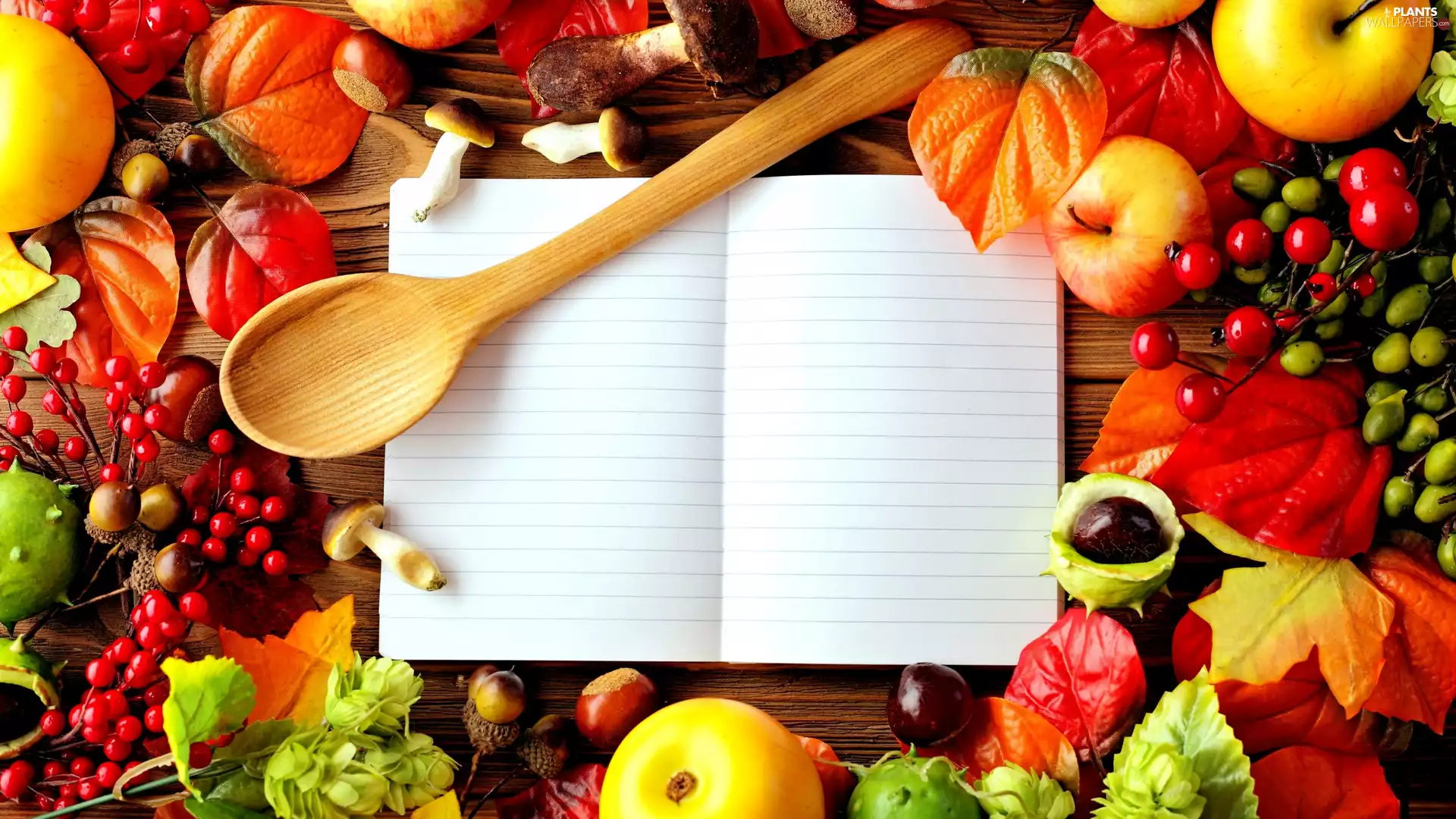 Leaf, chestnuts, Fascilice, Briar, bucket, composition, autumn, apples