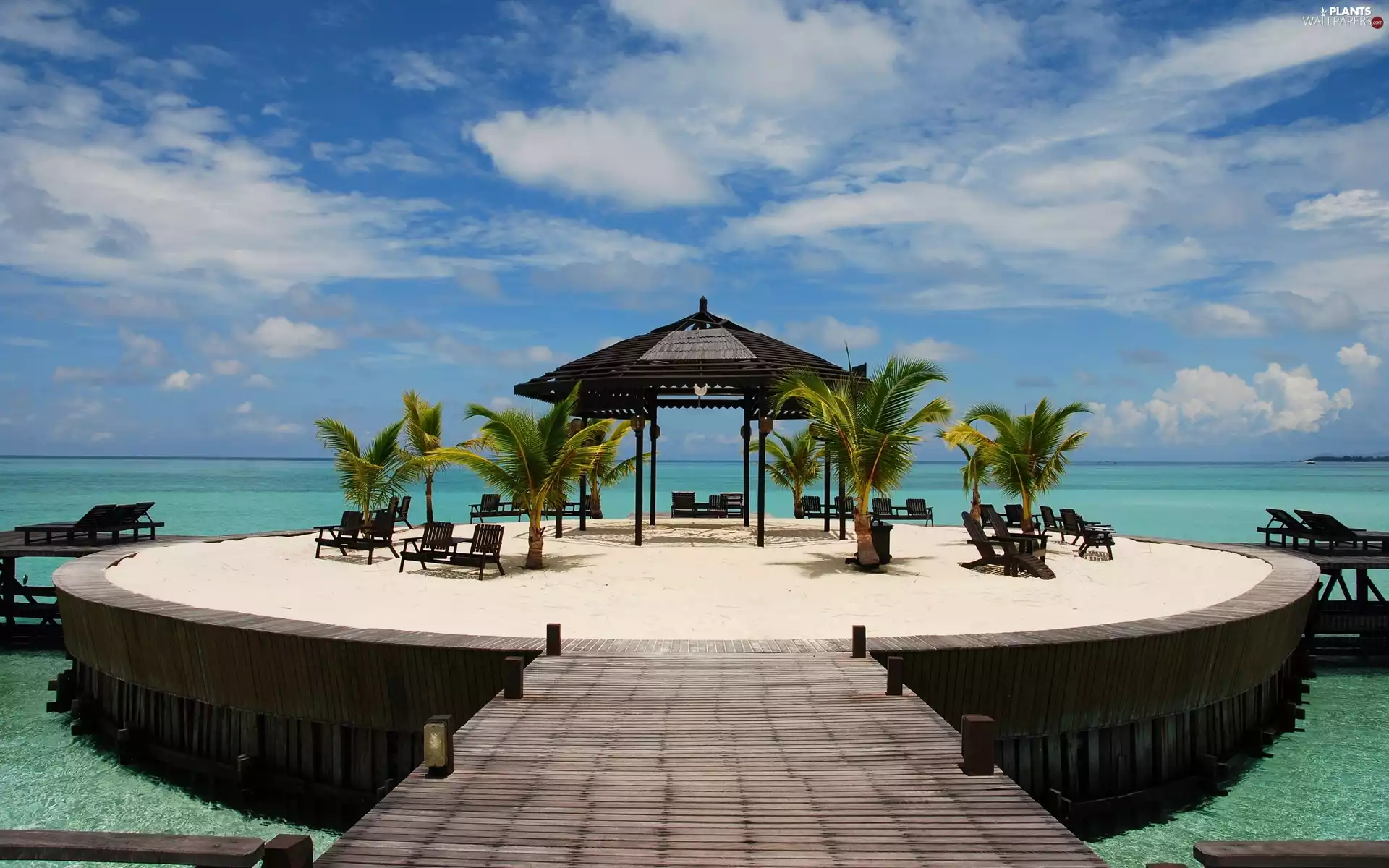 arbour, Palms, holiday, deck chair, Tropical, roofing, Platform, sea