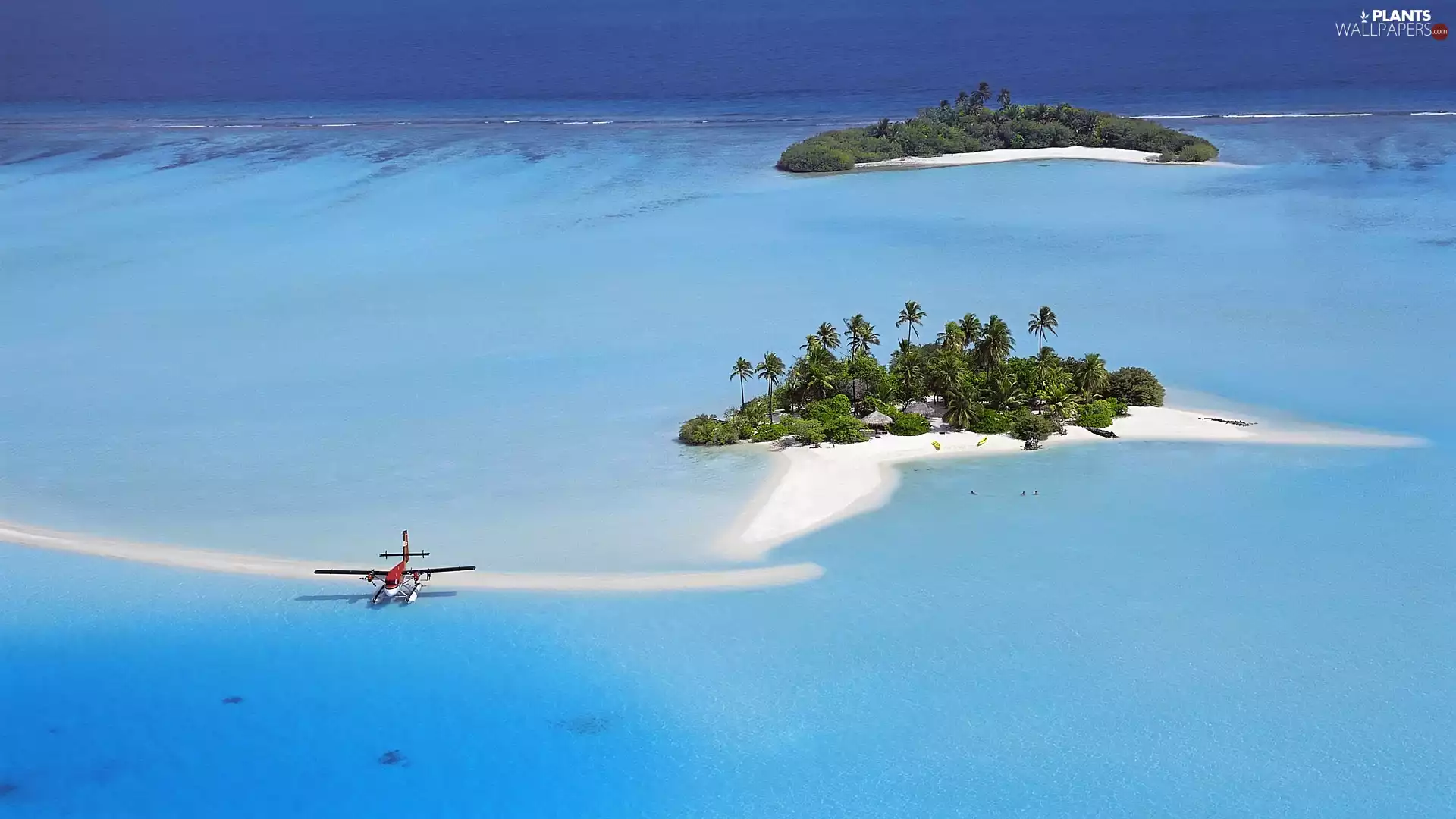 plane, Atol, Islets, Palms, sea