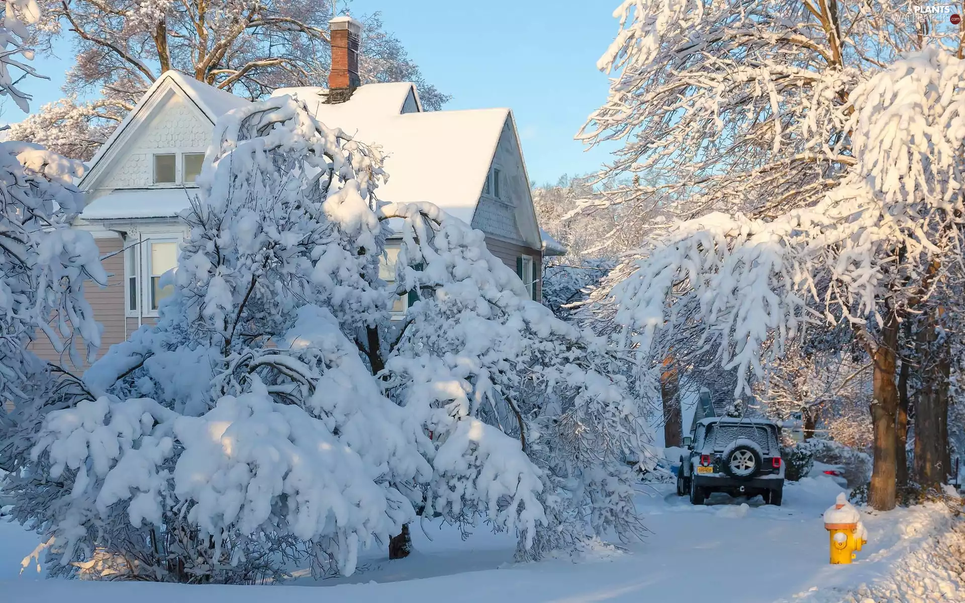 trees, winter, snow, Automobile, viewes, house