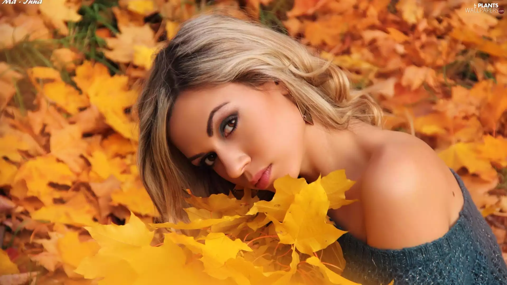 Leaf, autumn, Blonde, model, girl