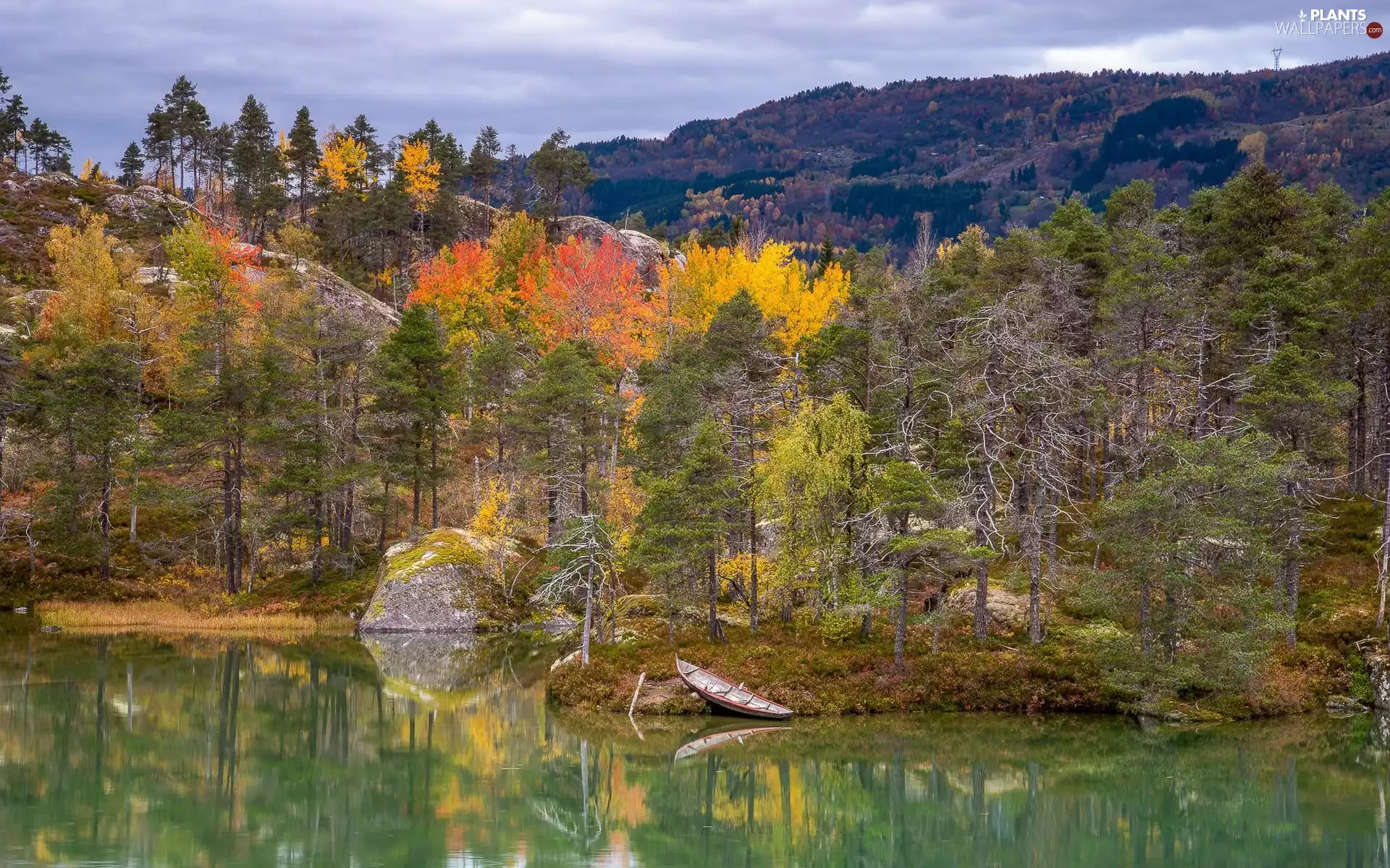 forest, lake, viewes, autumn, trees, Boat