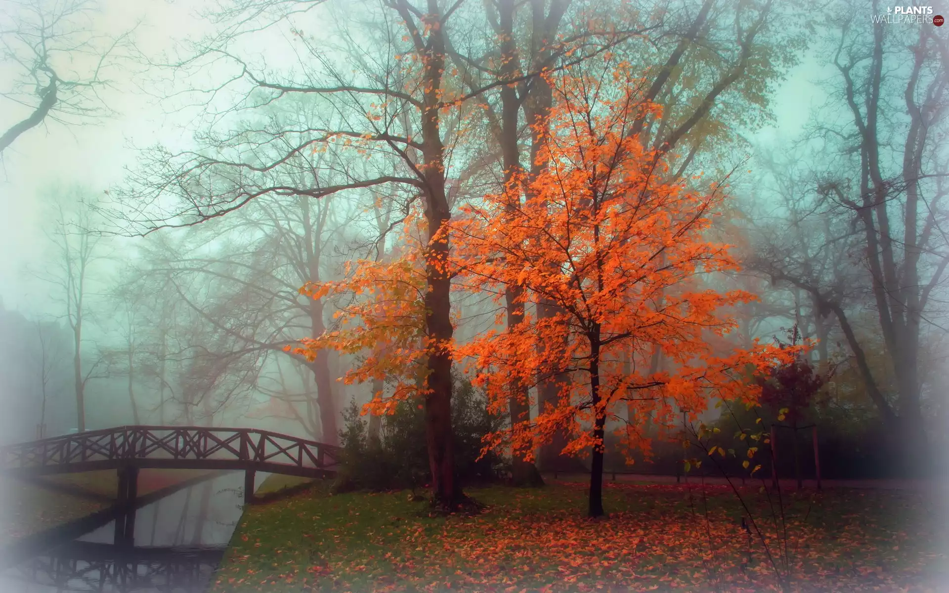 Leaf, autumn, bridges, Fog, River